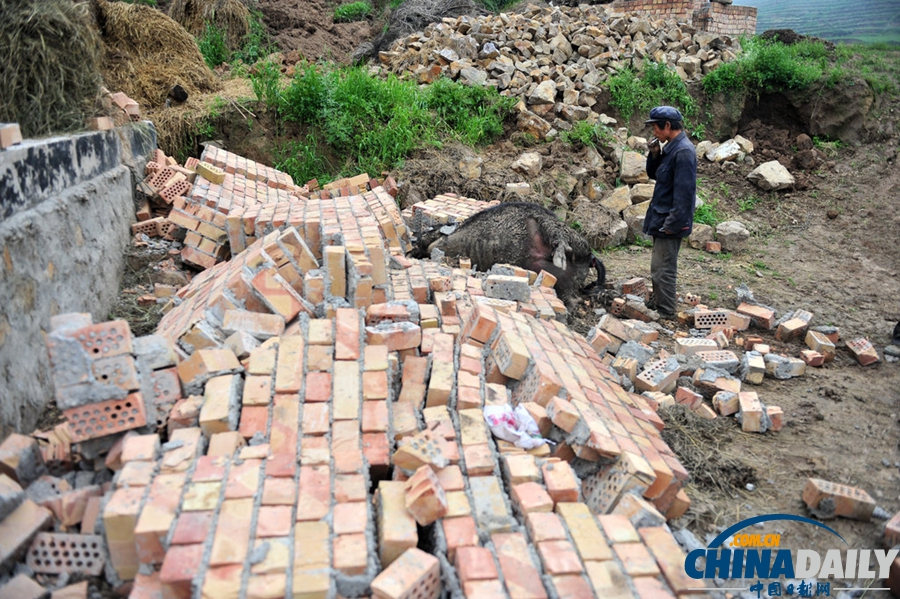 震區(qū)表情：甘肅定西6.6級地震災(zāi)后見聞
