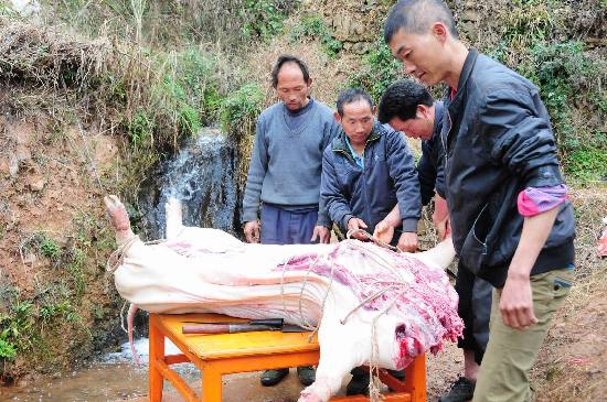 云南石林推出春節“套餐”迎接八方游客