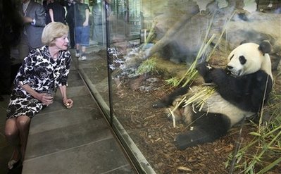 基因組圖譜：大熊貓不吃肉是因為嘗不到肉味