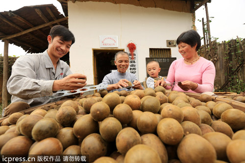 中國羅漢果變身美國汽水產業大救星？