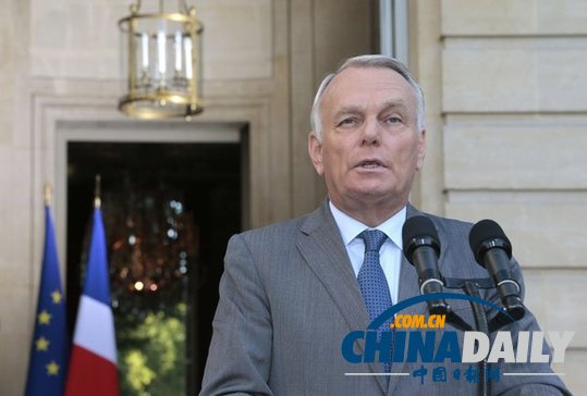 法公布敘政府使用化武證據(jù) 稱敘反對(duì)派無(wú)能力發(fā)動(dòng)襲擊
