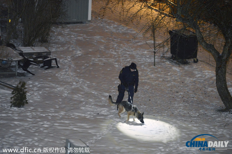 瑞典黑幫頭子家門口被槍殺 曾卷入瑞典國(guó)王性丑聞