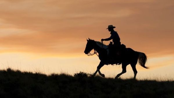 在挪威，texas不只是德克薩斯