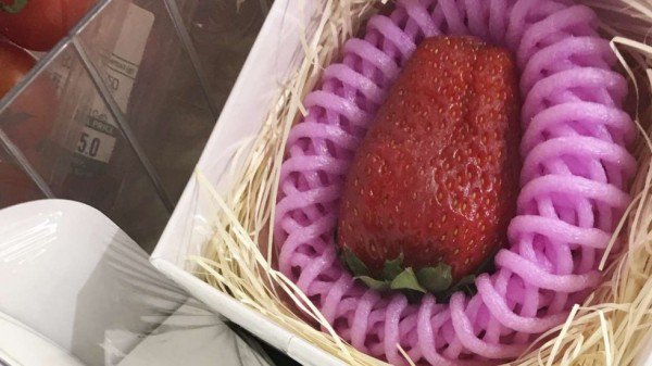 這種草莓150元一顆，一定很好吃……吧？